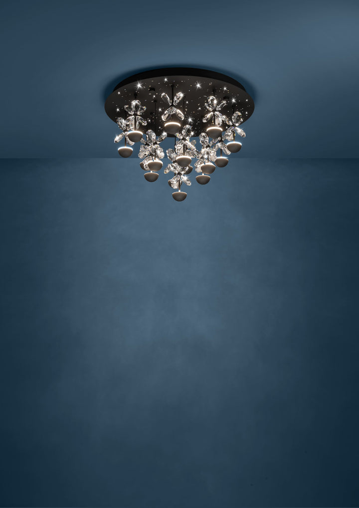 Ceiling light Pianopoli 2 black brilliant glass clear 15X1,8W H:36,5 Ø 50 cm in